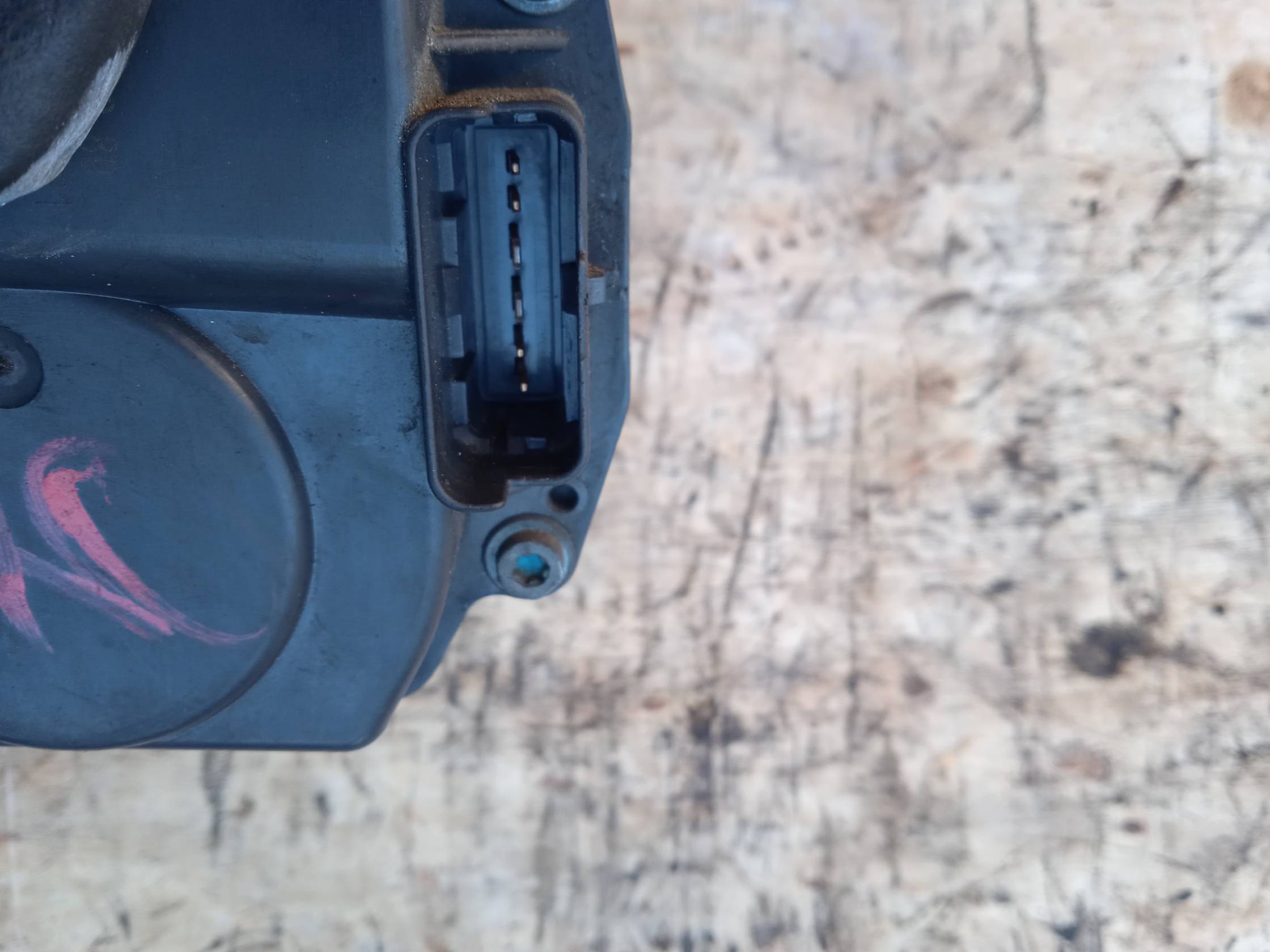 Corpo farfallato Corpo farfallato